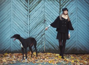 Young attractive girl dressed elegantly walks with the dog greyh